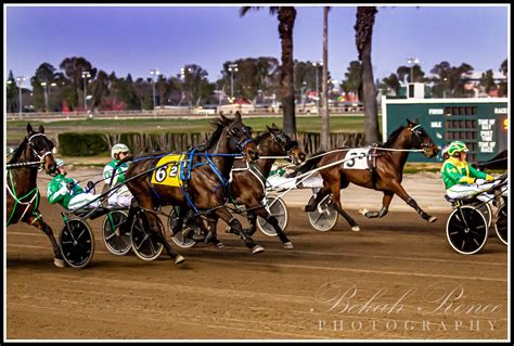Cal Expo – Harness Racing.